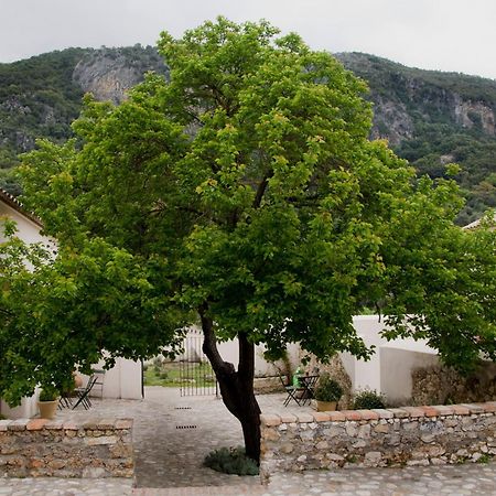 Casa Rural El Vihuelo 호텔 엘보스크 외부 사진