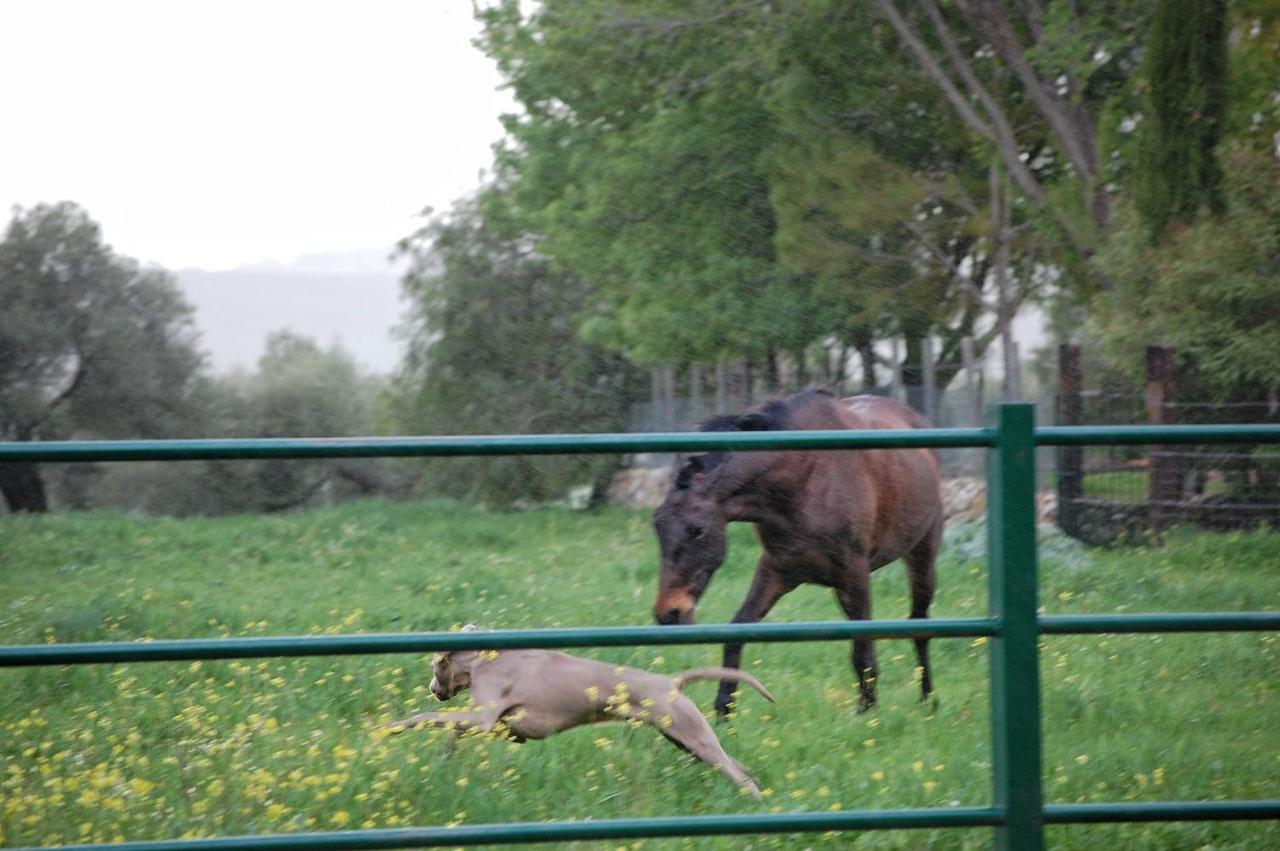 Casa Rural El Vihuelo 호텔 엘보스크 외부 사진